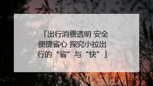 出行消费透明 安全便捷省心 探究小拉出行的“省”与“快”