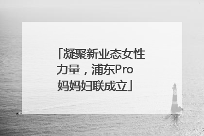 凝聚新业态女性力量，浦东Pro妈妈妇联成立