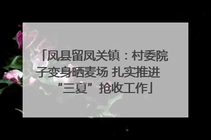 凤县留凤关镇：村委院子变身晒麦场 扎实推进“三夏”抢收工作
