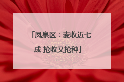 凤泉区：麦收近七成 抢收又抢种