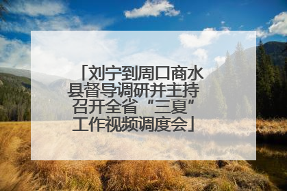 刘宁到周口商水县督导调研并主持召开全省“三夏”工作视频调度会
