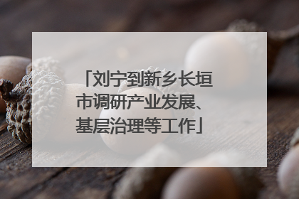 刘宁到新乡长垣市调研产业发展、基层治理等工作