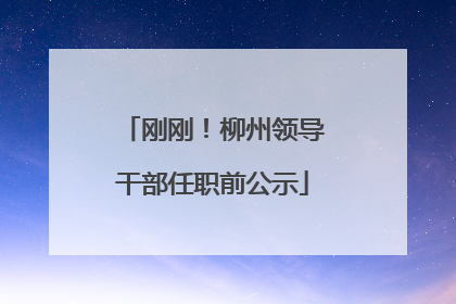 刚刚！柳州领导干部任职前公示