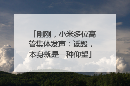 刚刚，小米多位高管集体发声：诋毁，本身就是一种仰望