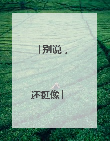 别说，还挺像