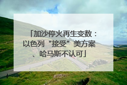 加沙停火再生变数：以色列“接受”美方案、哈马斯不认可