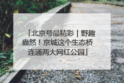 北京号最精彩｜野趣盎然！京城这个生态桥连通两大网红公园