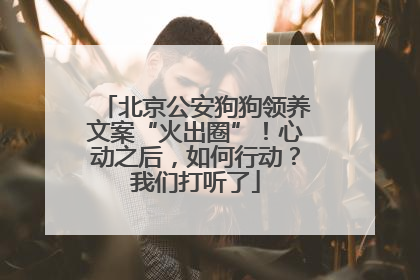 北京公安狗狗领养文案“火出圈”！心动之后，如何行动？我们打听了
