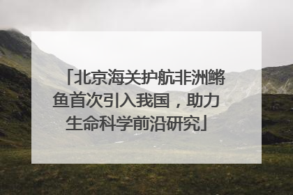 北京海关护航非洲鳉鱼首次引入我国，助力生命科学前沿研究