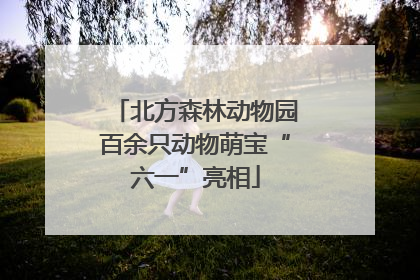 北方森林动物园百余只动物萌宝“六一”亮相
