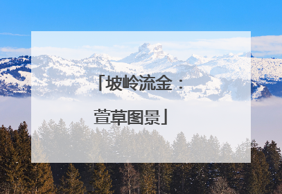 坡岭流金：萱草图景