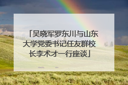 吴晓军罗东川与山东大学党委书记任友群校长李术才一行座谈