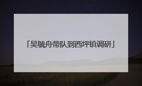 吴毓舟带队到西坪镇调研