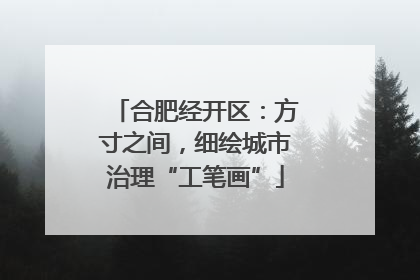 合肥经开区：方寸之间，细绘城市治理“工笔画”