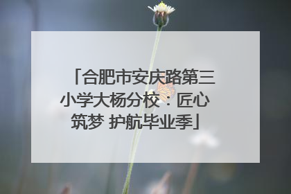 合肥市安庆路第三小学大杨分校：匠心筑梦 护航毕业季