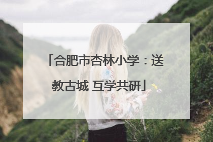合肥市杏林小学：送教古城 互学共研