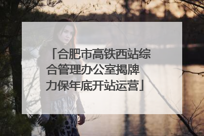 合肥市高铁西站综合管理办公室揭牌 力保年底开站运营