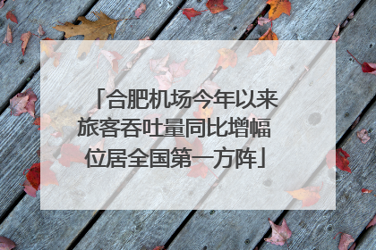 合肥机场今年以来旅客吞吐量同比增幅位居全国第一方阵