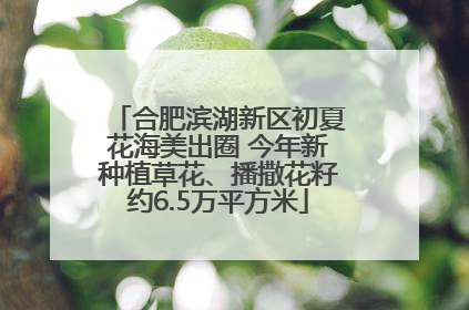 合肥滨湖新区初夏花海美出圈 今年新种植草花、播撒花籽约6.5万平方米