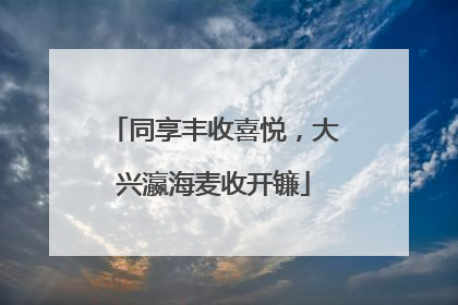 同享丰收喜悦，大兴瀛海麦收开镰