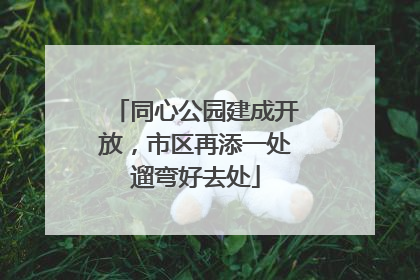 同心公园建成开放，市区再添一处遛弯好去处