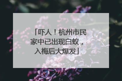 吓人！杭州市民家中已出现白蚁，入梅后大爆发