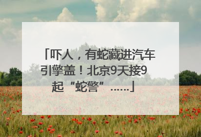 吓人，有蛇藏进汽车引擎盖！北京9天接9起“蛇警”……