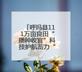 呼玛县111万亩良田“播种收官”科技护航蓄力“金秋丰景”