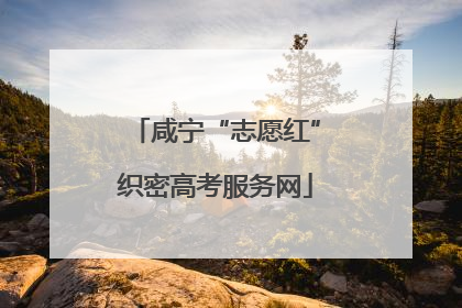 咸宁“志愿红”织密高考服务网