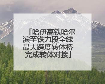 哈伊高铁哈尔滨至铁力段全线最大跨度转体桥完成转体对接