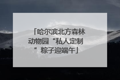 哈尔滨北方森林动物园“私人定制”粽子迎端午