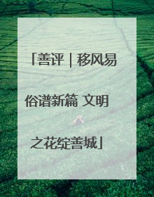 善评｜移风易俗谱新篇 文明之花绽善城