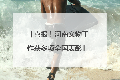 喜报！河南文物工作获多项全国表彰