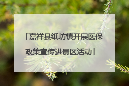 嘉祥县纸坊镇开展医保政策宣传进景区活动