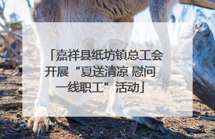嘉祥县纸坊镇总工会开展“夏送清凉 慰问一线职工”活动