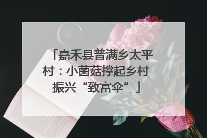嘉禾县普满乡太平村：小菌菇撑起乡村振兴“致富伞”