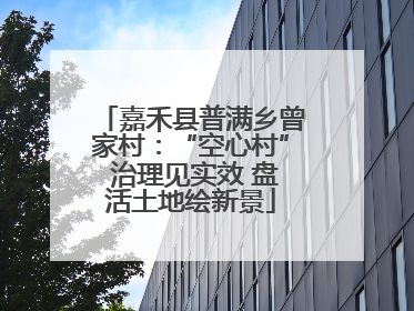 嘉禾县普满乡曾家村：“空心村” 治理见实效 盘活土地绘新景