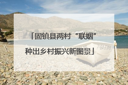 固镇县两村“联姻”种出乡村振兴新图景