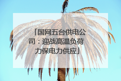 国网五台供电公司：迎战高温负荷 力保电力供应