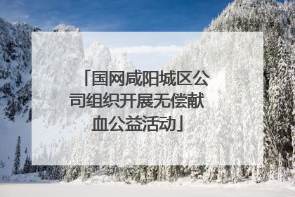 国网咸阳城区公司组织开展无偿献血公益活动