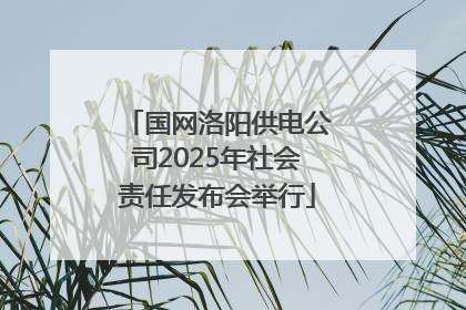 国网洛阳供电公司2025年社会责任发布会举行