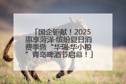 国企钜献！2025惠享菏泽·缤纷夏日消费季暨“华瑞·华小粮”青岛啤酒节启幕！