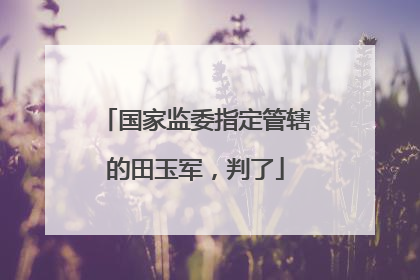国家监委指定管辖的田玉军，判了