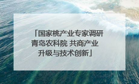 国家桃产业专家调研青岛农科院 共商产业升级与技术创新