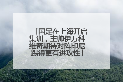 国足在上海开启集训，主帅伊万科维奇期待对阵印尼踢得更有进攻性