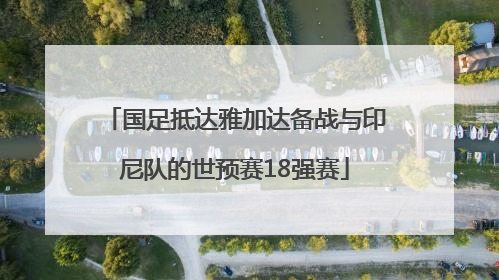 国足抵达雅加达备战与印尼队的世预赛18强赛