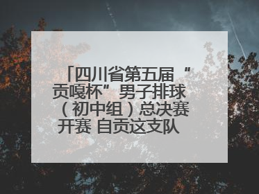 四川省第五届“贡嘎杯”男子排球（初中组）总决赛开赛 自贡这支队伍打进半决赛