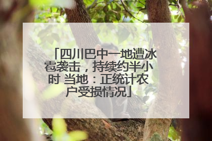 四川巴中一地遭冰雹袭击，持续约半小时 当地：正统计农户受损情况
