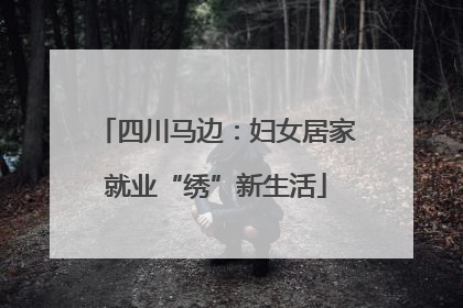 四川马边：妇女居家就业“绣”新生活