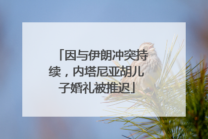 因与伊朗冲突持续，内塔尼亚胡儿子婚礼被推迟